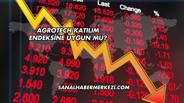 Agrotech Katılım Endeksine Uygun mu?