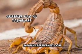 Akrepler Kaç Yıl Yaşarlar?