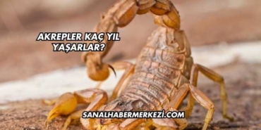 Akrepler Kaç Yıl Yaşarlar?