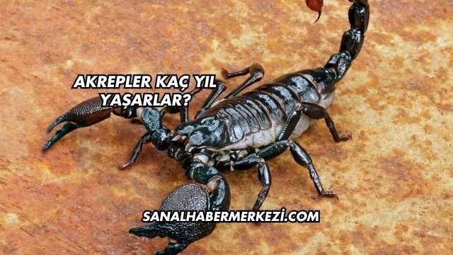 Akrepler Kaç Yıl Yaşarlar?