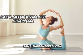 Bazal Metabolizma Hızı Hesaplama