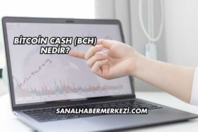 Bitcoin Cash (BCH) Nedir?