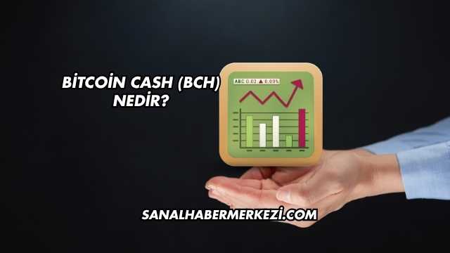Bitcoin Cash (BCH) Nedir?