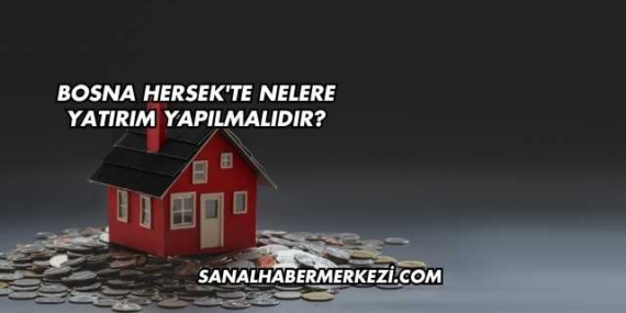 Bosna Hersek'te Nelere Yatırım Yapılmalıdır?