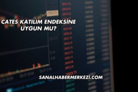 Cates Katılım Endeksine Uygun mu?