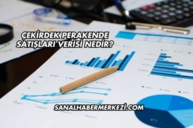 Çekirdek Perakende Satışları Verisi Nedir?
