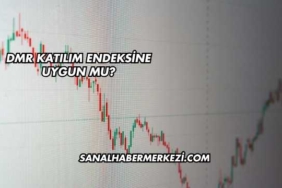 Dmr Katılım Endeksine Uygun mu?