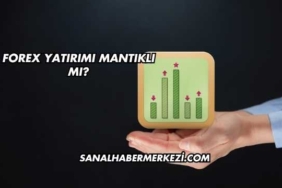 Forex Yatırımı Mantıklı mı?