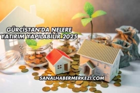 Gürcistan'da Nelere Yatırım Yapılabilir 2025