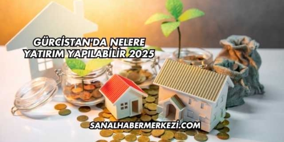 Gürcistan'da Nelere Yatırım Yapılabilir 2025