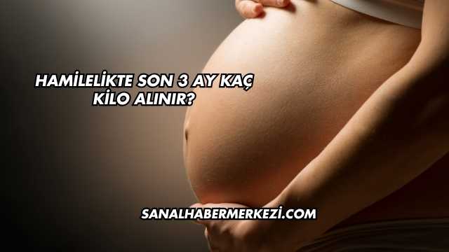 Hamilelikte Son 3 Ay Kaç Kilo Alınır?