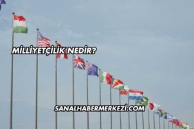 Milliyetçilik Nedir?