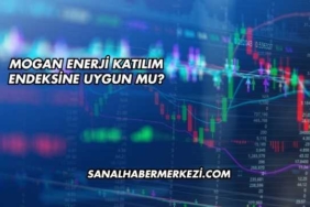 Mogan Enerji Katılım Endeksine Uygun mu?