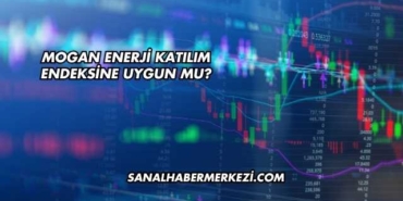 Mogan Enerji Katılım Endeksine Uygun mu?