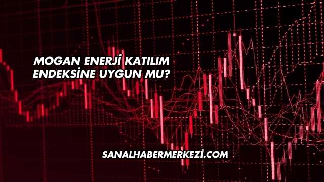 Mogan Enerji Katılım Endeksine Uygun mu?