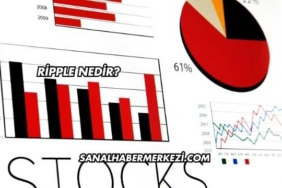 Ripple Nedir?