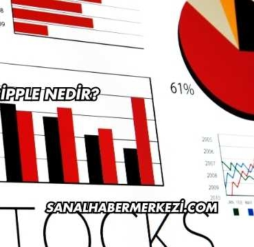 Ripple Nedir?