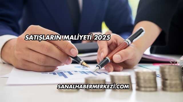 Satışların Maliyeti 2025