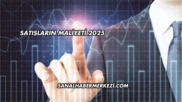 Satışların Maliyeti 2025