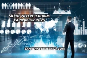Şili'de Nelere Yatırım Yapılabilir 2025