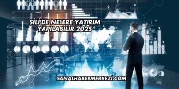 Şili'de Nelere Yatırım Yapılabilir 2025