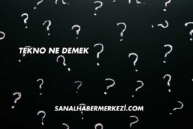 Tekno Ne Demek