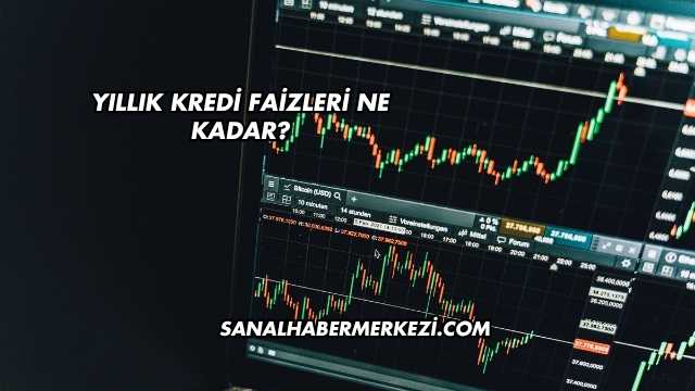 Yıllık Kredi Faizleri Ne Kadar?