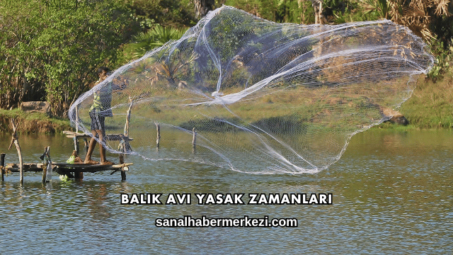 Balık Avı Yasak Zamanları
