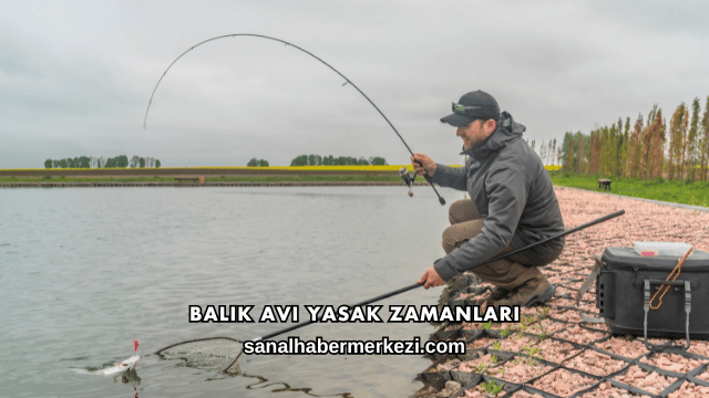Balık Avı Yasak Zamanları