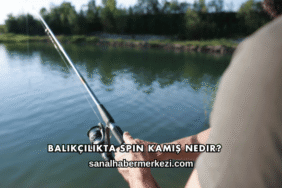 Balıkçılıkta Spin Kamış Nedir?