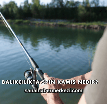 Balıkçılıkta Spin Kamış Nedir?