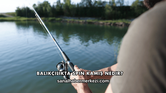 Balıkçılıkta Spin Kamış Nedir?