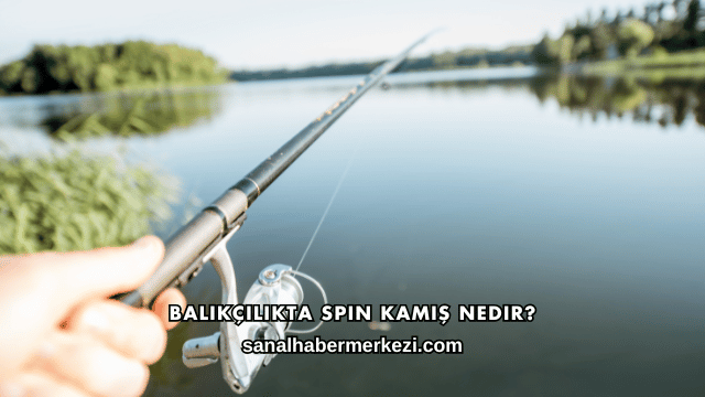 Balıkçılıkta Spin Kamış Nedir?