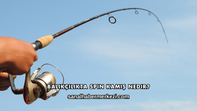 Balıkçılıkta Spin Kamış Nedir?