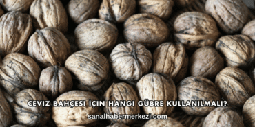 Ceviz Bahçesi İçin Hangi Gübre Kullanılmalı?