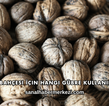 Ceviz Bahçesi İçin Hangi Gübre Kullanılmalı?