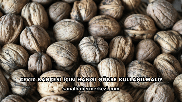 Ceviz Bahçesi İçin Hangi Gübre Kullanılmalı?