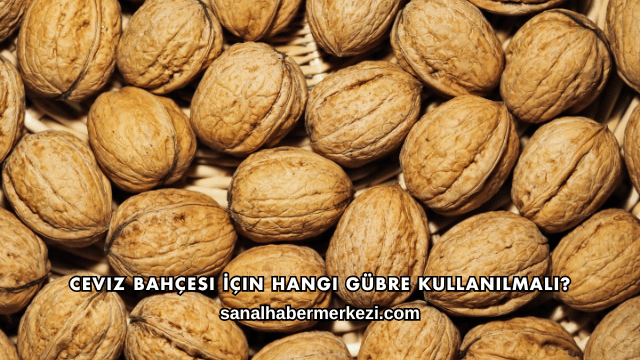 Ceviz Bahçesi İçin Hangi Gübre Kullanılmalı?