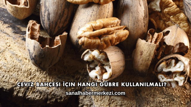 Ceviz Bahçesi İçin Hangi Gübre Kullanılmalı?
