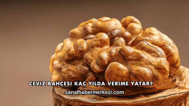 Ceviz Bahçesi Kaç Yılda Verime Yatar?