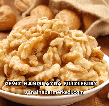 Ceviz Hangi Ayda Filizlenir?