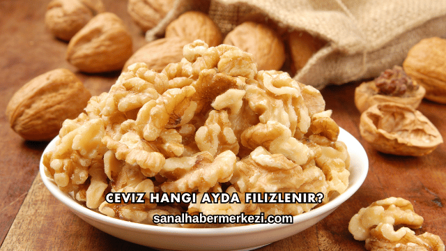 Ceviz Hangi Ayda Filizlenir?