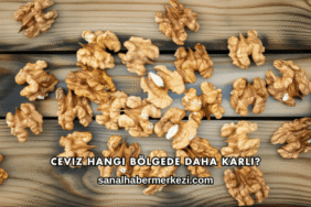 Ceviz Hangi Bölgede Daha Karlı?
