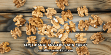 Ceviz Hangi Bölgede Daha Karlı?