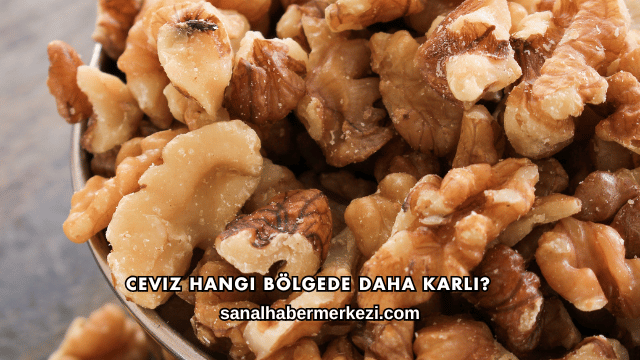 Ceviz Hangi Bölgede Daha Karlı?