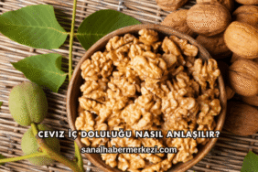 Ceviz İç Doluluğu Nasıl Anlaşılır?
