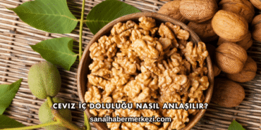 Ceviz İç Doluluğu Nasıl Anlaşılır?