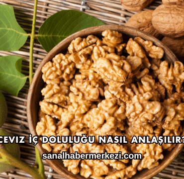 Ceviz İç Doluluğu Nasıl Anlaşılır?