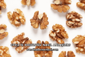 Ceviz Randımanı Nasıl Hesaplanır?