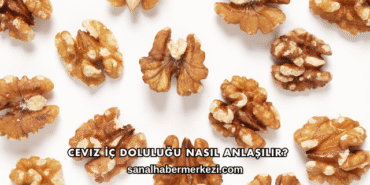 Ceviz Randımanı Nasıl Hesaplanır?